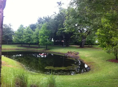 a pond in the middle of a park at HAPPY PORT, your home very close to entertainment in Kissimmee