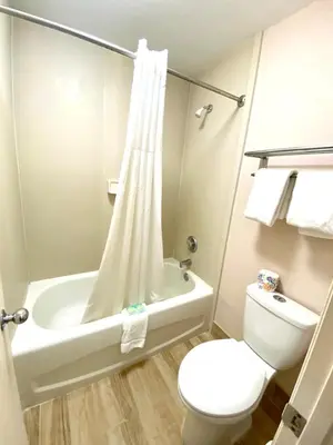 a bathroom with a toilet and a tub and a sink at REGENCY INN in Orlando