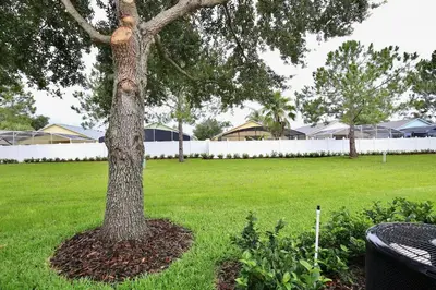 a tree in the middle of a green field at Amazing 3 bedroomloft townhouse in Hidden Forest, with private pool! in Orlando