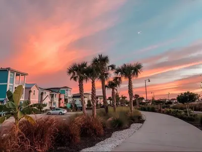 a street with palm trees and a car on a sidewalk at ZAY & ZAC’S SHAKE SHACK in Orlando