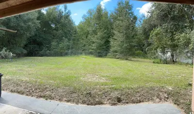 a large yard with a fence and trees at The Piano House in Orlando
