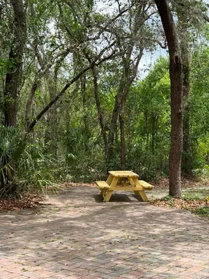 a yellow picnic table sitting in the middle of a park at Spacious and relaxing Home - Longwood, Florida in Orlando