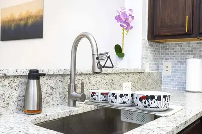 a kitchen sink with two mugs on a drying rack at Your Orlando stay 15 min to Disney - DVH01 in Kissimmee