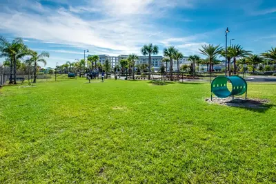 a park with a green object in the grass at 3000 Latitude Lane in Orlando
