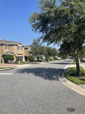 a tree on the side of a street at 541 Villa- 7BD Dream Home - Private PoolSpa in Orlando