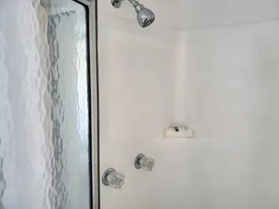 a shower with a shower head and a shower curtain at Beautiful cottage near Lake Louisa & mins from Disney, Vehicle Rental Available in Clermont