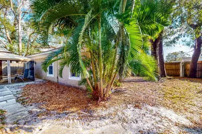 a palm tree in front of a house at Families with Pets! Home Near Orlando Theme Parks in Orlando